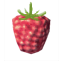 Raspberries icon