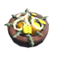 Salad icon